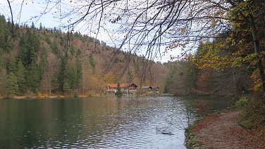 Am Alatsee