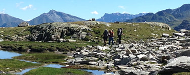 Mehr