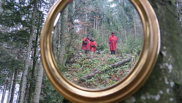 Kunstwerke im Wald mit Spiegeln