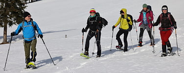 Mehr