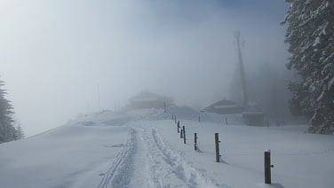 Neureuth in Sicht