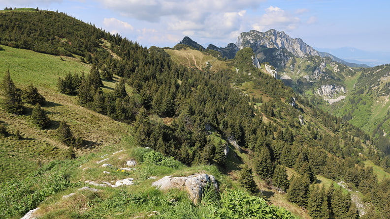 zu einer Tour auf die Benediktenwand, welche hier bereits rechts oben zu sehen ist.