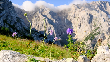 Morgenstimmung im Wetterstein