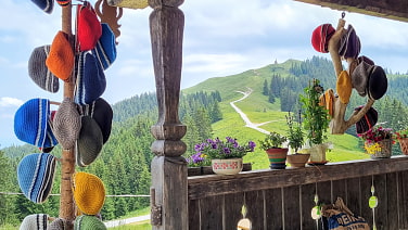 Hörnle Alm - Blick zum Hinteren Hörnle