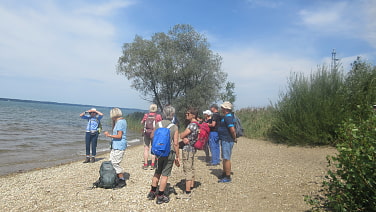 Pause am Chiemseestrand