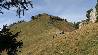 Die letzten Meter zum Wildalpjoch