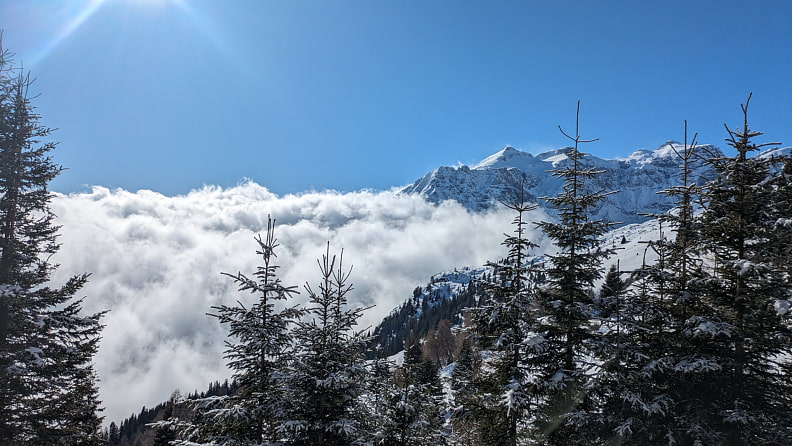 Nach der Kastenbergalm lichtete sich der Nebel und die Sonne und der flachere Anstieg über der Waldgrenze machten die Tour zum Vergnügen.