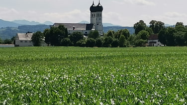 Weihenlinden