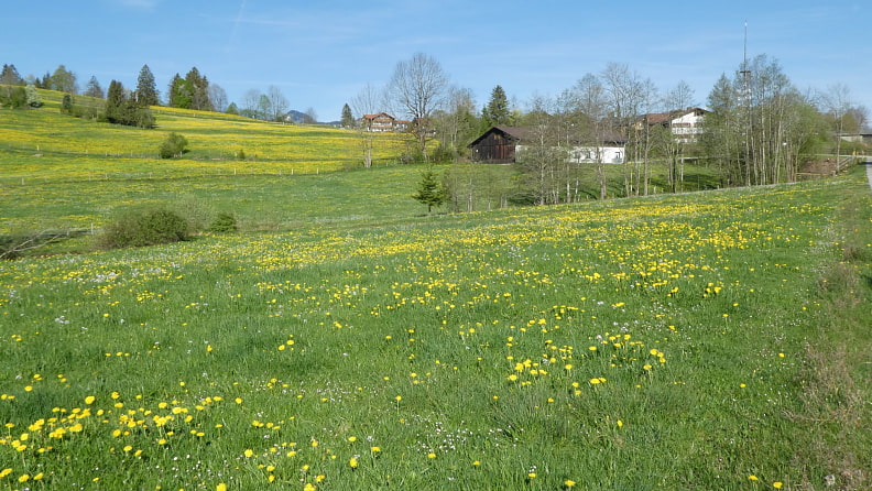 Anstieg nach Roßmoos