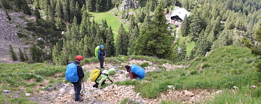 Mehr