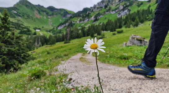 Auf dem Weg zum Taubenstein, 3. Juli 2024