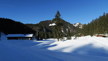 Die Schwarztenn Alm