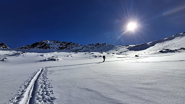 Bei voller Hütte, blauem Himmel, Sonnenschein pur und 10-20 cm Neuschnee - HTG am 18.3. zu zweit im Anstieg auf die Kuhscheibe. Teilweise unverspurter Pulverschnee! Insgesamt aber im gesamten Gebiet sehr wenig Schnee. So gab es doch etliche Kratzer auf dem Skibelag.