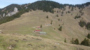 Spitzingalmen