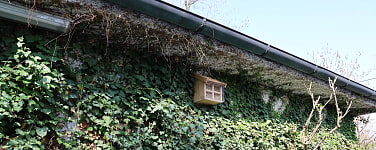 Installation von Nistkästen
