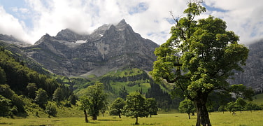 mountain-panorama with trees at Eng 