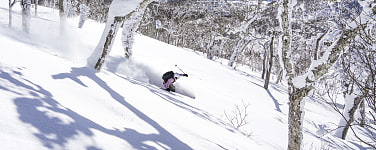 Skifahrerin im tiefen Pulverschnee in Japan