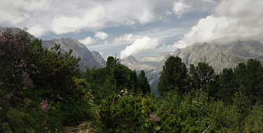 Im Vordergrund Latschen und Nadelbäume. In der Ferne die umgebene Berglandschaft.