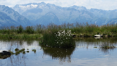Schöner Tauernblick