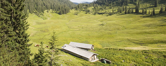 Bild von der Bayischen Wildalm von oben, eingebettet in die Almlandschaft
