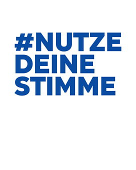 Blauer Schriftzug "NUTZE DEINE STIMME" aus dem Logo zur Europawahl 2024
