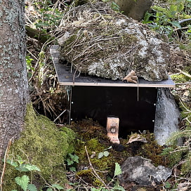 Ein Hummelkasten am Boden