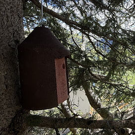 Ein Vogelhaus in einem Baum