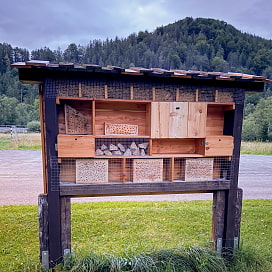 ein Wildbienenstand