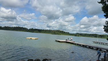 Hartsee