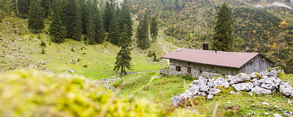 Auf dem Bild sieht man eine idyllische Berglandschaft und die Winkelalm, die von grünen Wiesen, Felsen und Nadelbäumen umgeben ist. Die Hütte liegt etwas abgelegen und es gibt im Hintergrund dichte Tannenwälder. Die längliche Hütte ist aus Stein erbaut und hat im oberen Teil eine Holzverkleidung sowie ein Bleckdach. 