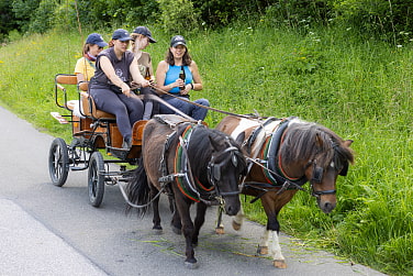Ponykutsche