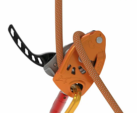 Petzl Neox