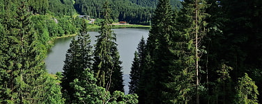 Blick auf den Spitzingsee, der von Bäumen umgeben ist.