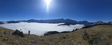 eine Bergdohle am Gipfel
