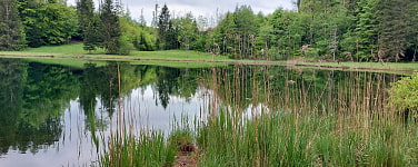 Grüne Seenlandschaft