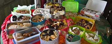 Foto von der letzten Tour