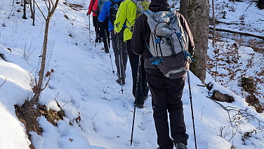 schön hintereinander auf winterlichem Pfad