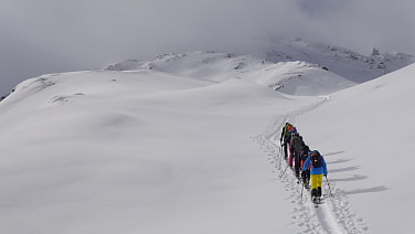 Für den hohen Riffler war die Lawinengefahr zu groß, aber der Rosskopf von Hochfügen aus hat uns ersatzweise wunderbaren Neuschnee-Pulver geboten.