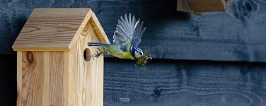 Ein Nistkasten an einer Hütte