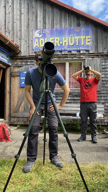 Adlerbeobachtung in Allgäu