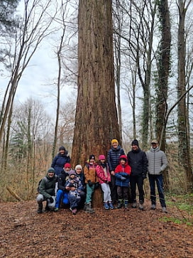 Familiengruppe vor Mammutbaum