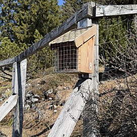 Nistkasten