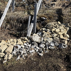 Nistkasten