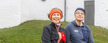 eine Bergdohle am Gipfel