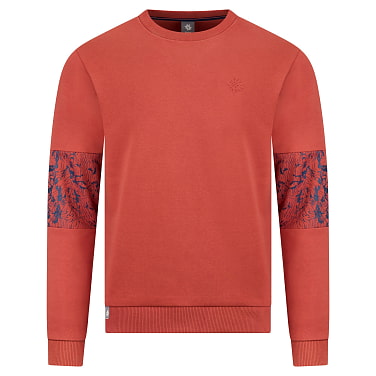 Kapuzenpullover Blaueisspitzen