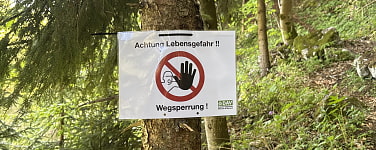 Schild im Wald