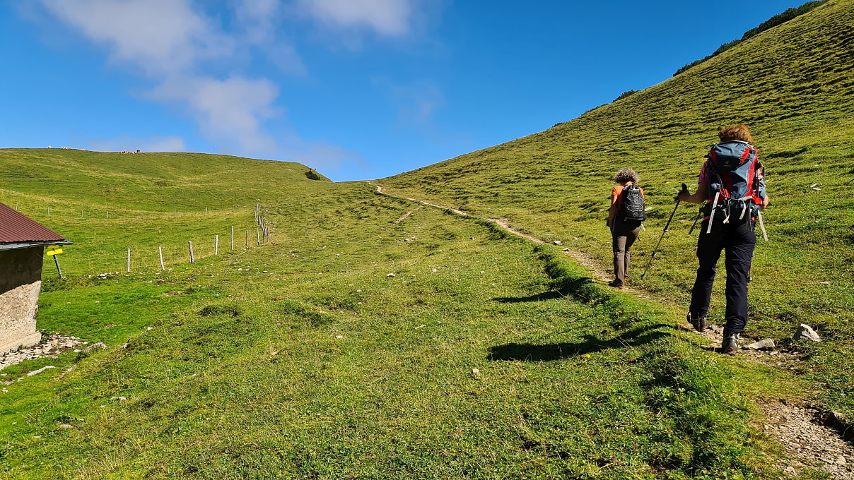 Auf dem Weg zum Sattel zwischen Jägerbauern- und Benzingalm