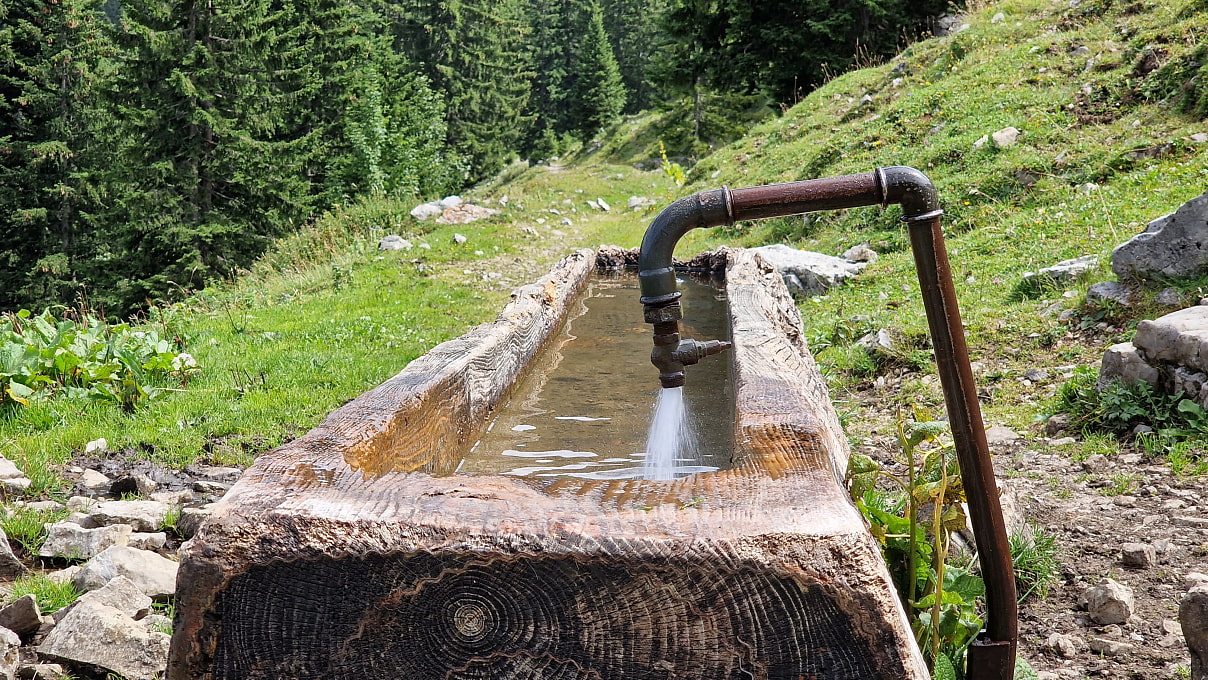 Frisches Wasser aus der Quelle an der Benzingalm
