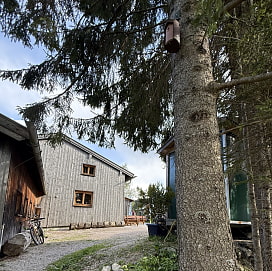 Ein Insektenkasten am Baum