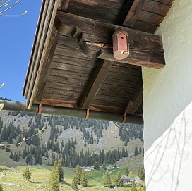 Ein Insektenkasten am Balkendach